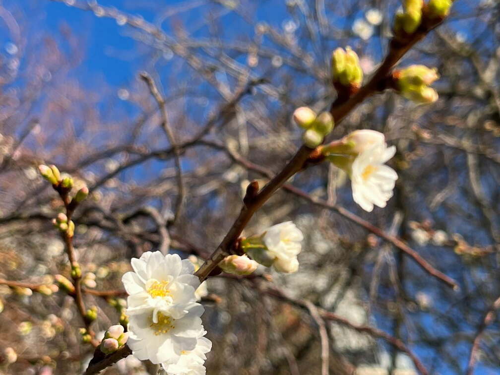 24-12-05 11-02-26 1535